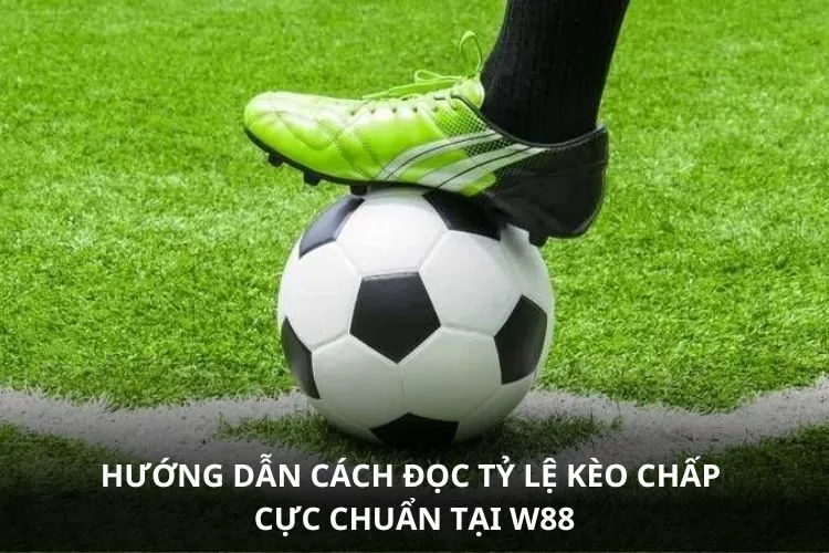 Hướng dẫn cách đọc tỷ lệ kèo chấp cực chuẩn tại W88