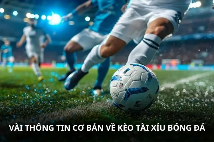 Vài thông tin cơ bản về kèo Tài Xỉu bóng đá